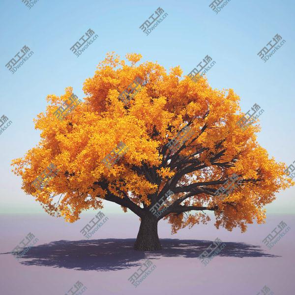 images/goods_img/20210312/English Oak (For Any Season)/3.jpg
